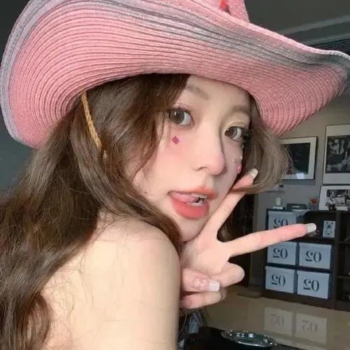 暴风雪中的白鸟