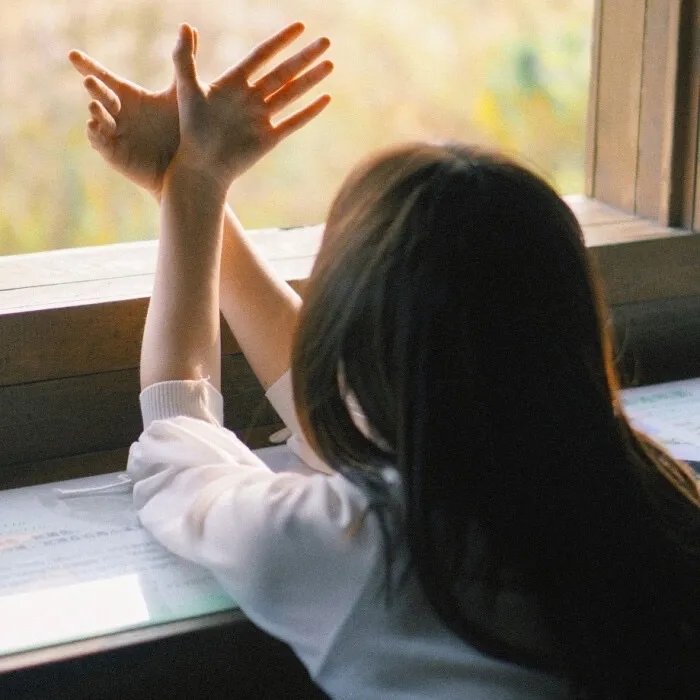 九爷的重燃小玫瑰